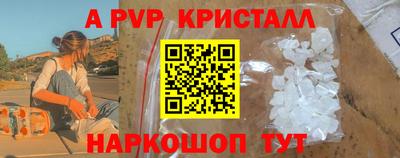 стафф Новокубанск