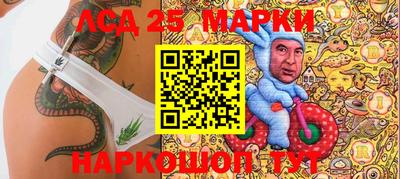 гидра Новодвинск
