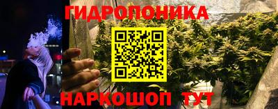 mix Новозыбков