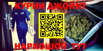 гидра Новодвинск