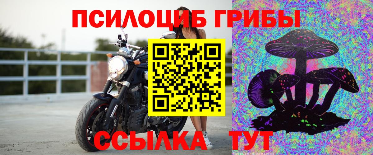 Псилоцибиновые грибы MAGIC MUSHROOMS  Вход с VPN  Саров 