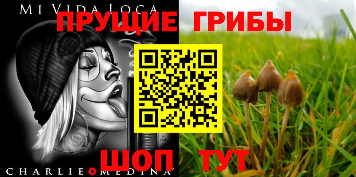 Галлюциногенные грибы прущие грибы Саров